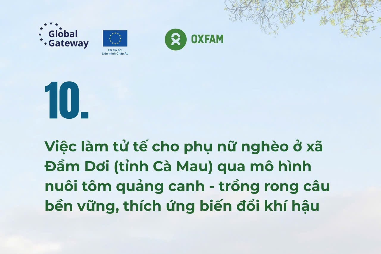 PWG Project activities in Dam Doi Commune, Ca Mau Province